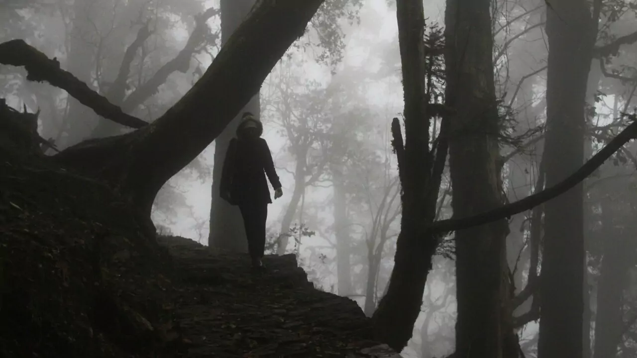 person walking in a forest covered in fog in munsiyari