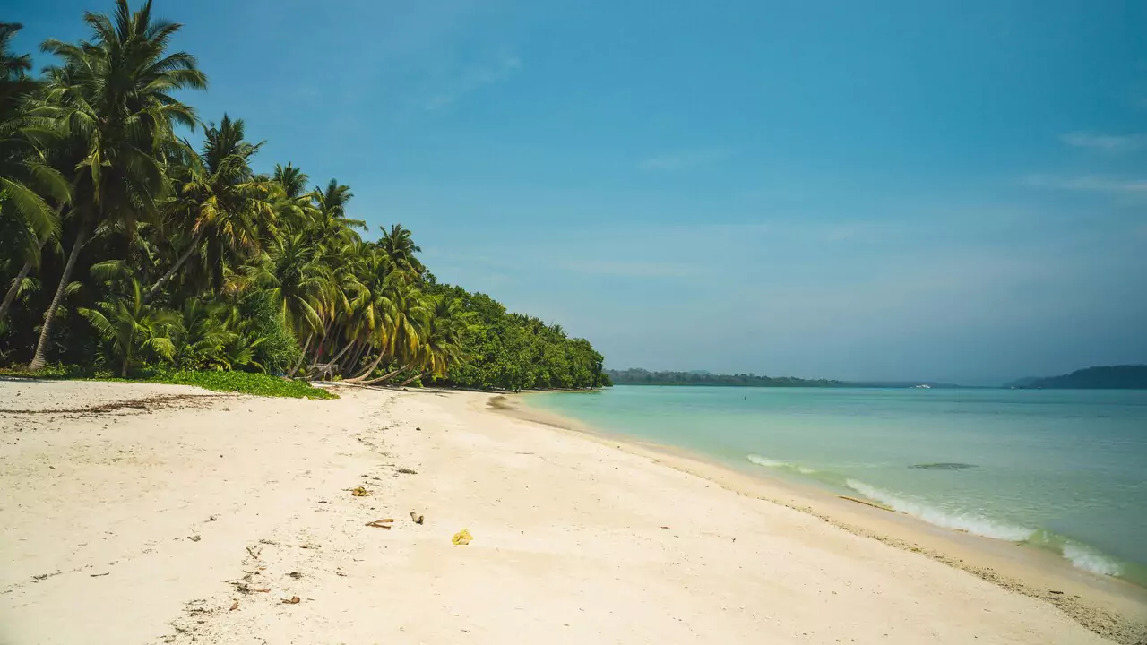 A tranquil scene of a white sandy beach with palm trees against a vibrant blue sky.