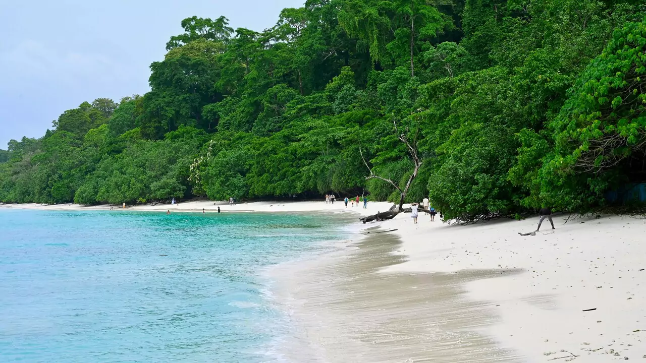 A sunny white sandy beach with green trees and people enjoying the day.