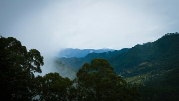 hills in kausani covered with green trees and bushes