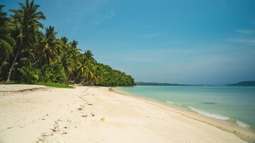 A tranquil scene of a white sandy beach with palm trees against a vibrant blue sky.