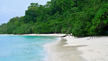 A sunny white sandy beach with green trees and people enjoying the day.