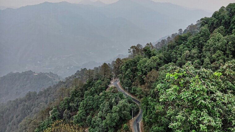trees on either side of a road on a slope of mountain in lansdowne