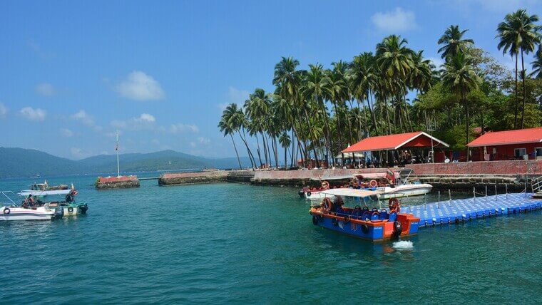 Several boats are docked at a pier surrounded by lush palm trees under a clear blue sky.