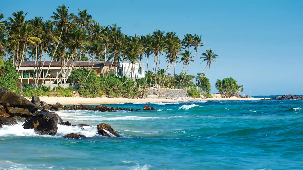 A sunny beach scene featuring palm trees and a house located right on the shore.