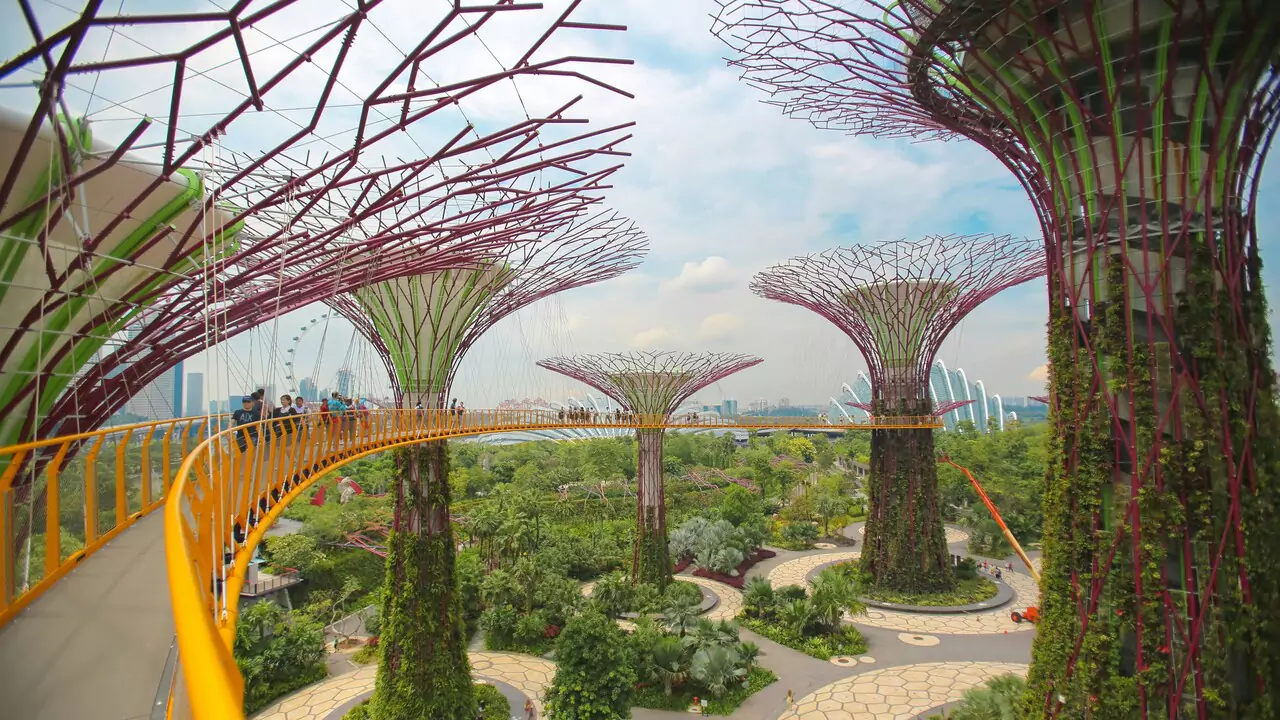 A view of Singapore's Gardens by the Bay, featuring iconic Supertree structures and greenery.
