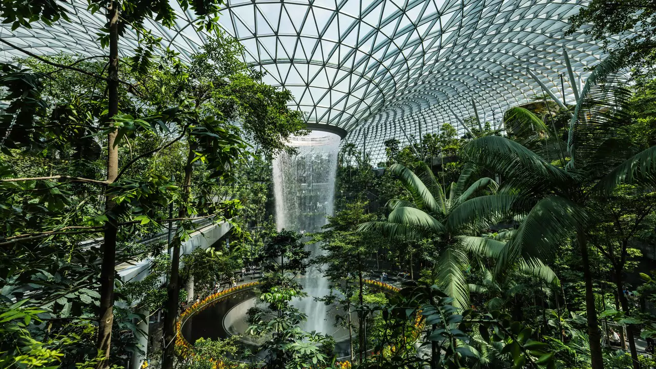Lush tropical rainforest interior featuring a cascading waterfall surrounded by vibrant green foliage.