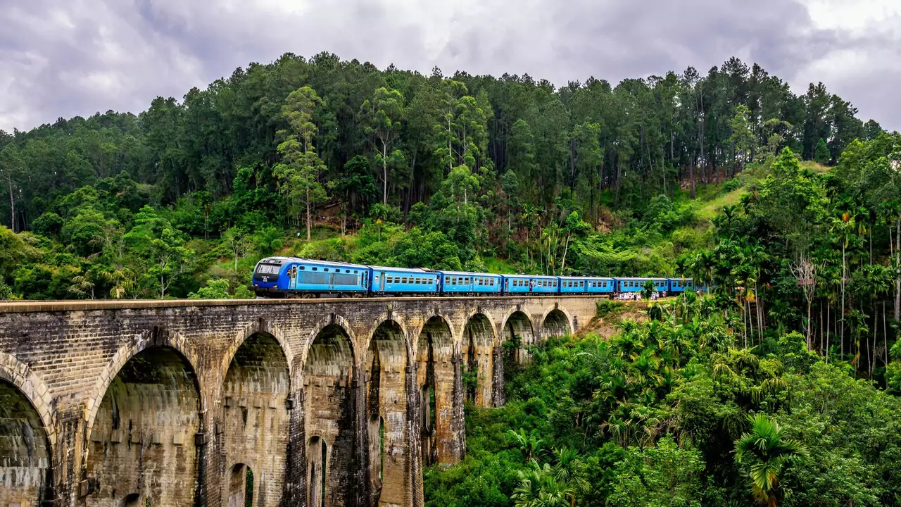 A blue train crosses a bridge surrounded by lush green trees in a forest setting.A sunny beach scene featuring palm trees and a house located right on the shore.