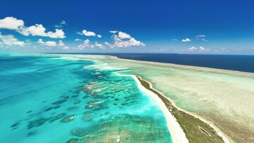 Aerial view of a vibrant ocean with a colorful coral reef visible beneath the clear water.