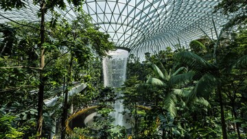 Lush tropical rainforest interior featuring a cascading waterfall surrounded by vibrant green foliage.