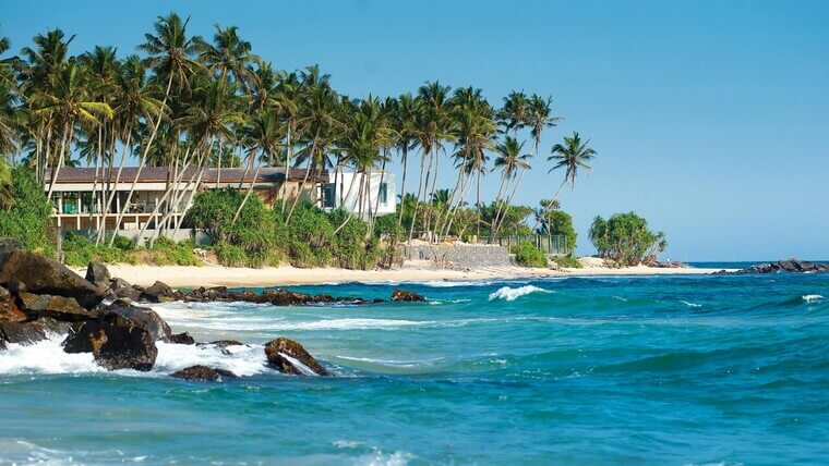 A sunny beach scene featuring palm trees and a house located right on the shore.
