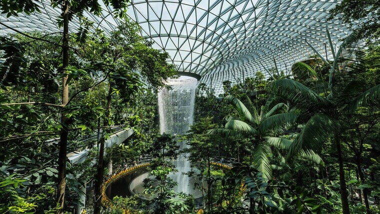 Lush tropical rainforest interior featuring a cascading waterfall surrounded by vibrant green foliage.